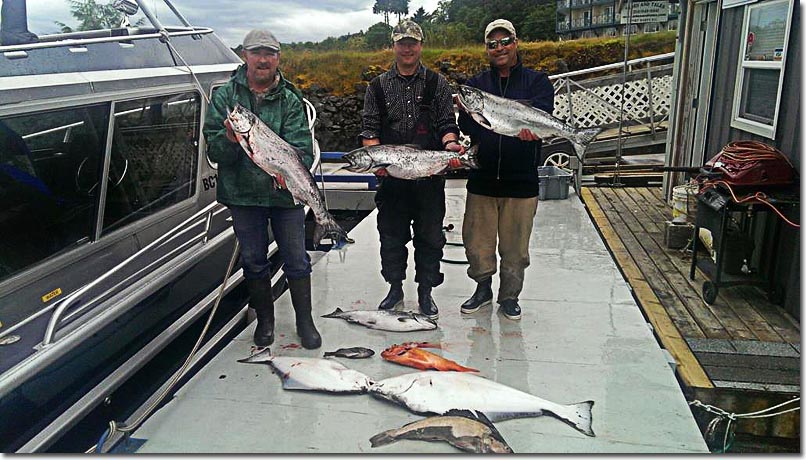 salmon and halibut